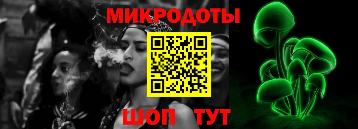 Артём  даркнет сайт  Вход с VPN  Галлюциногенные грибы Cubensis 